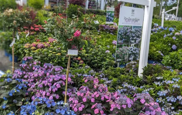Plant Library